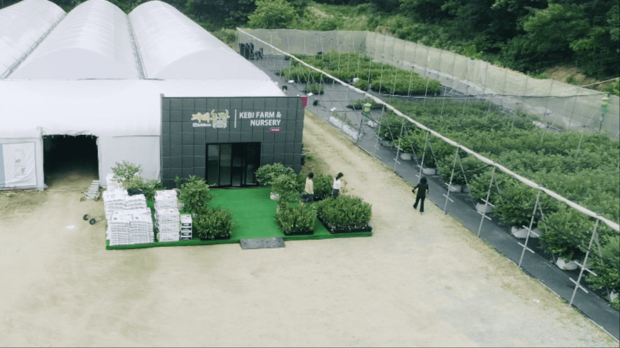 깨비농장의 블루베리 농장 모습.