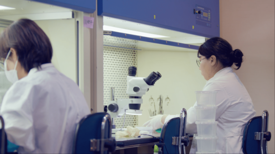 깨비농장 연구소에서 연구중인 연구원 모습.