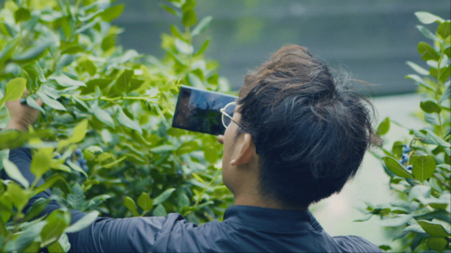 네이버웍스 메시지로 사진, 동영상을 공유하는 모습.