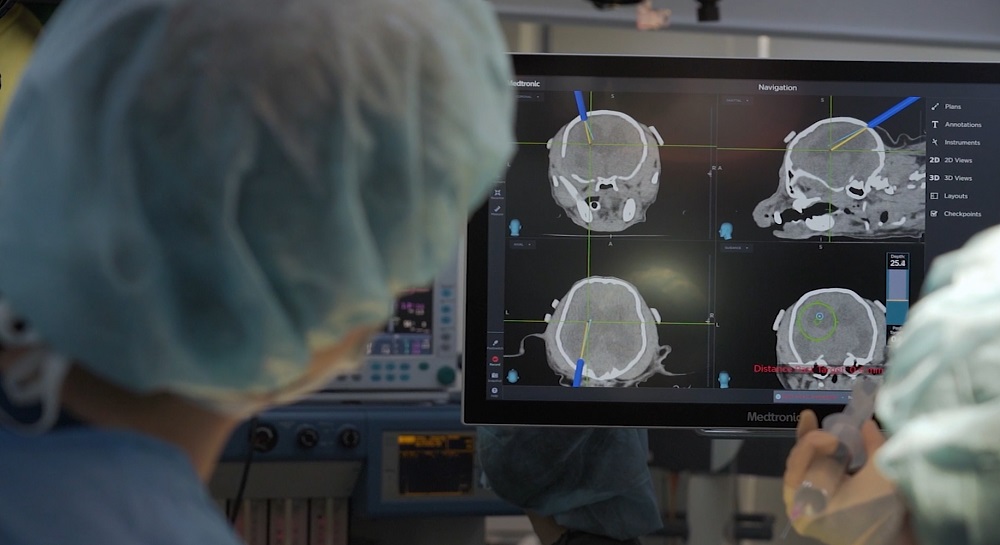 브레인네비게이터를 활용해 강아지 수술을 진행하는 의료진 모습.