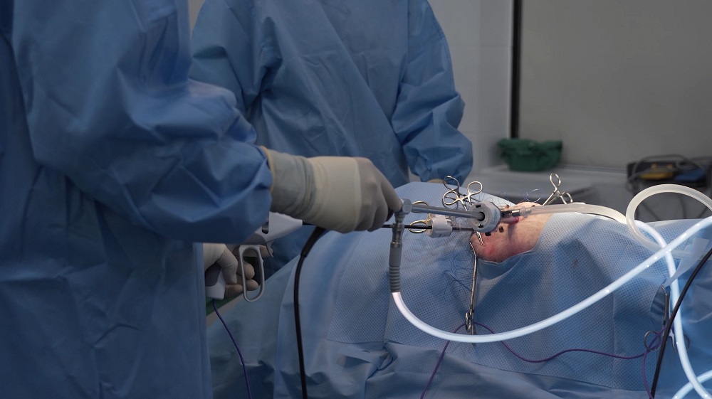 복강경을 이용하여 반려동물을 치료하는 본동물의료센터 의료진 모습. 