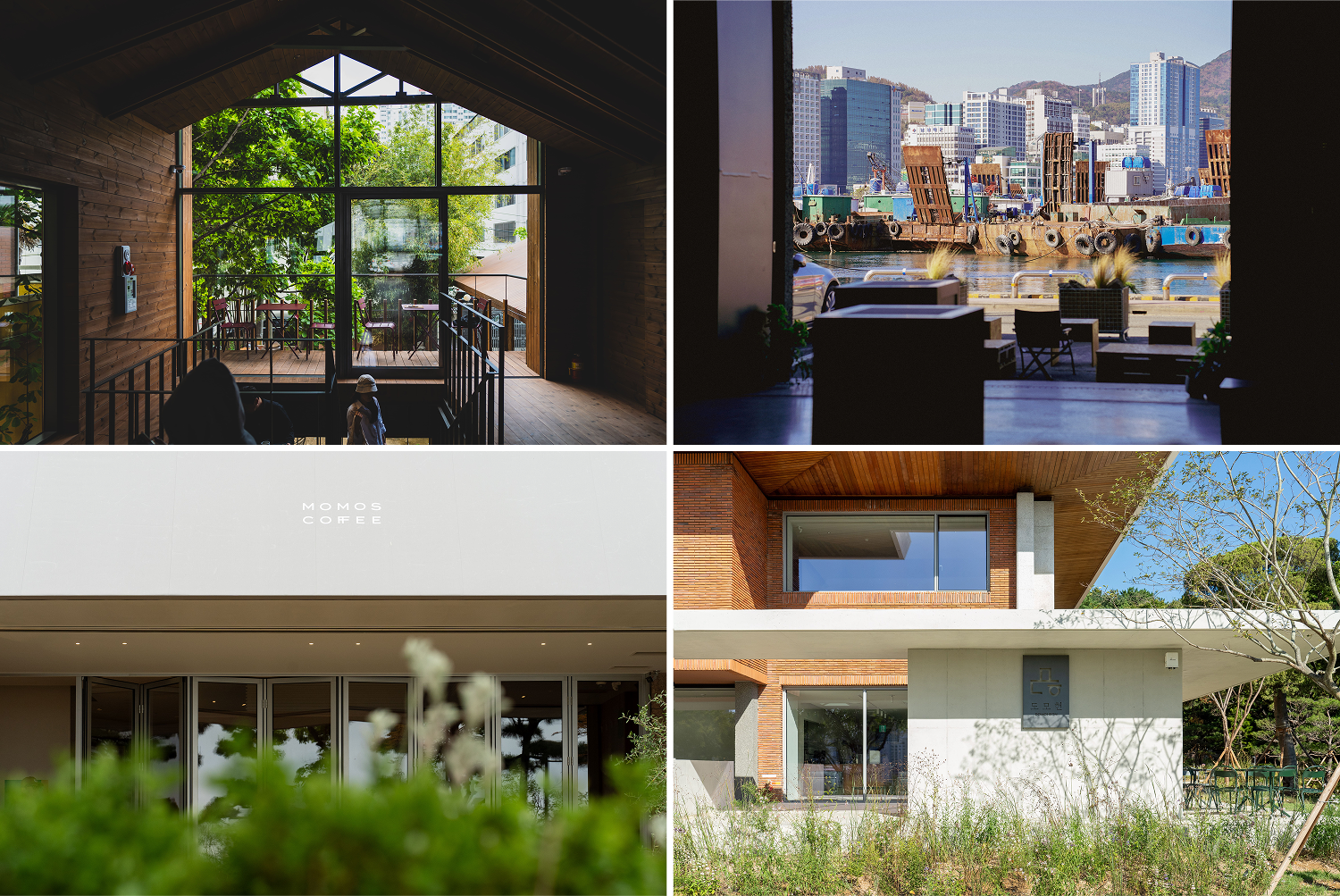 모모스커피 온천장 본점, 해운대 마린시티점, 도모헌점, 영도 로스터리&커피바